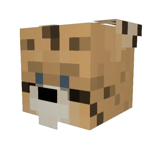 N1ight_ Minecraft avatar head, 3D render