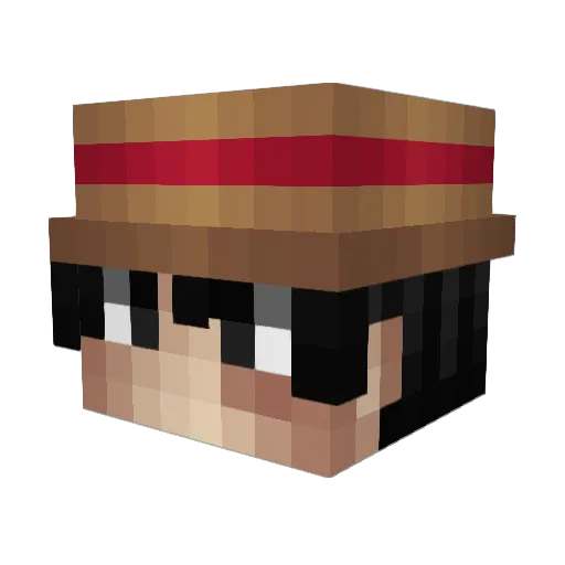N1k4las Minecraft avatar head, 3D render