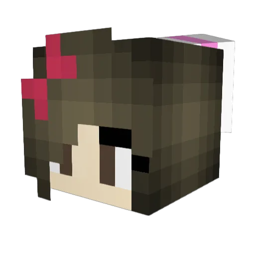 N1kay Minecraft avatar head, 3D render