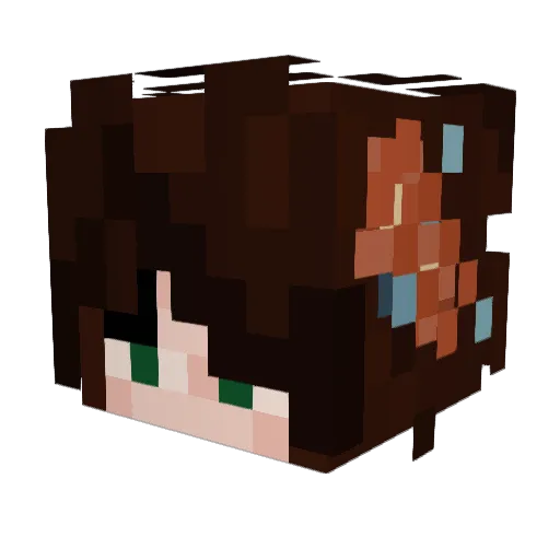 N1kiLuvs Minecraft avatar head, 3D render