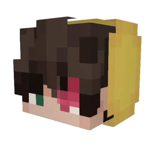 N1kkox Minecraft avatar head, 3D render