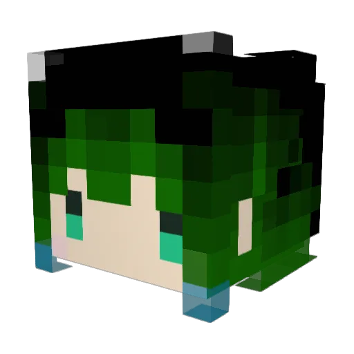 N1koch1N Minecraft avatar head, 3D render