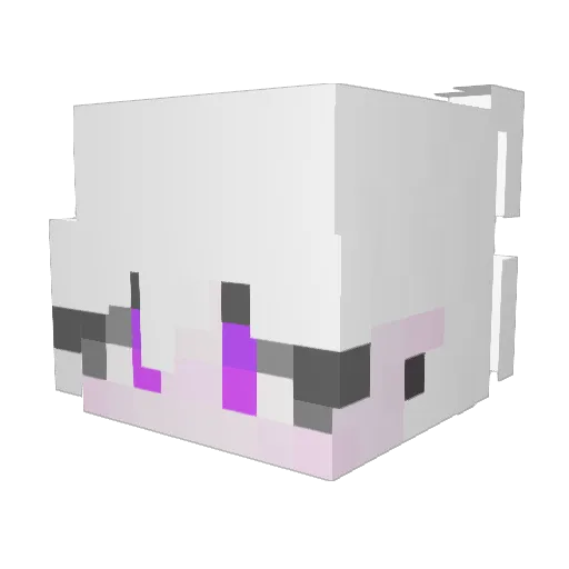 N1mbus___ Minecraft avatar head, 3D render