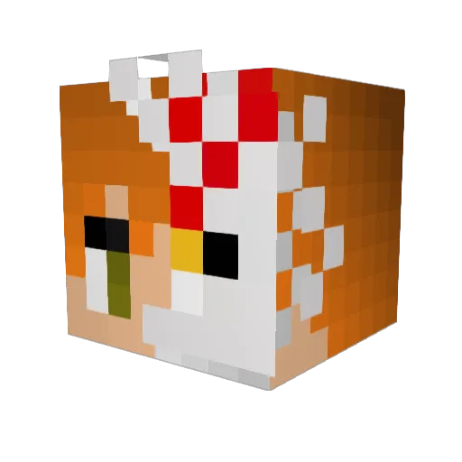 N1n5ky Minecraft avatar head, 3D render