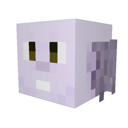 N1nja4012 Minecraft avatar head, 3D render