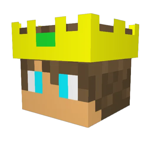 N1nja58 Minecraft avatar head, 3D render