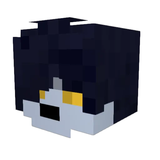 Minecraft-Avatar von N1nsen: Kopf als 3D-Render