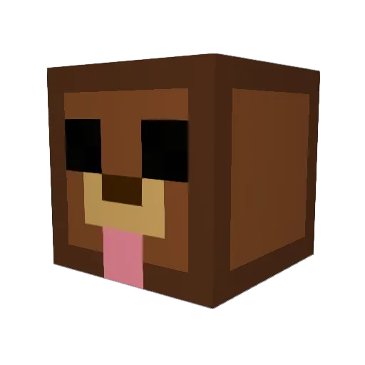 N1ony Minecraft avatar head, 3D render