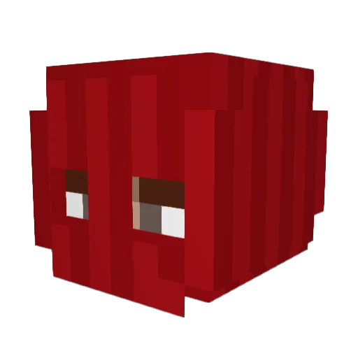 N1roxxx Minecraft avatar head, 3D render
