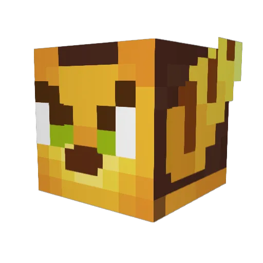 N1tr8x Minecraft avatar head, 3D render