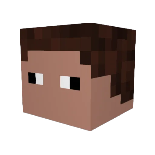N1x_1337 Minecraft avatar head, 3D render