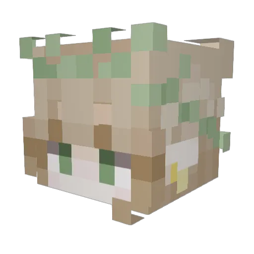 N1xey Minecraft avatar head, 3D render