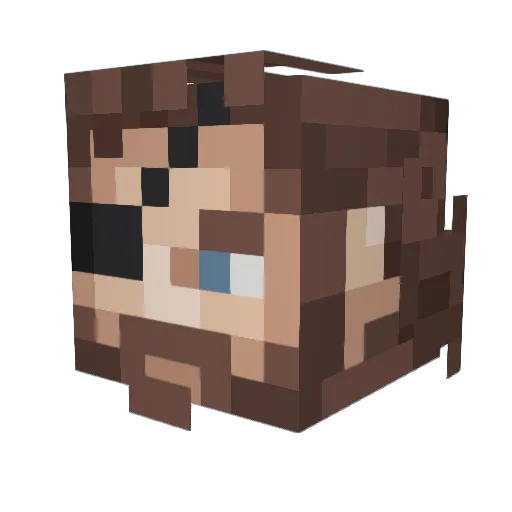 N1xton Minecraft avatar head, 3D render