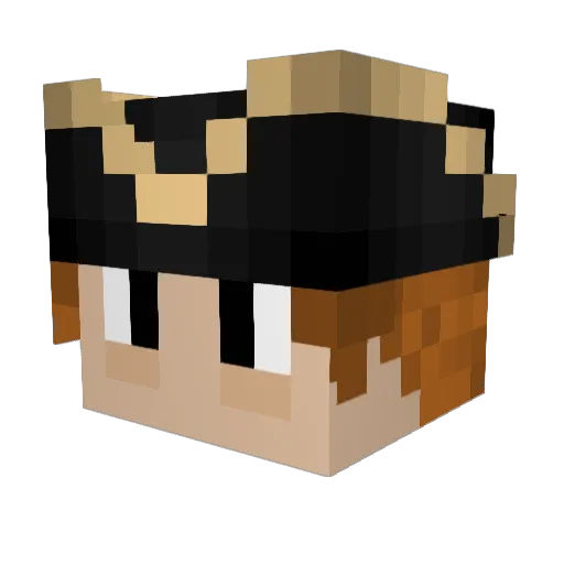 N1xyyyyyy Minecraft avatar head, 3D render