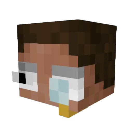N1yx_ Minecraft avatar head, 3D render