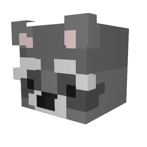 N2OisLove Minecraft avatar head, 3D render