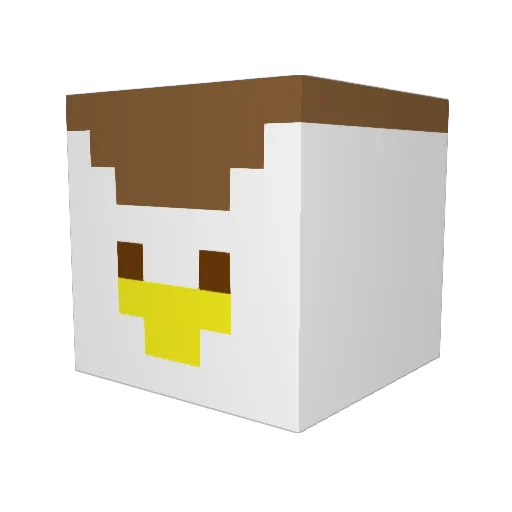 N30Dym Minecraft avatar head, 3D render