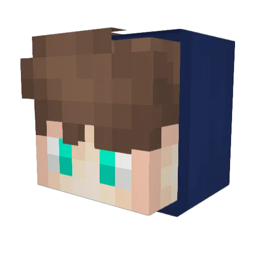 N30XxLP_YT Minecraft avatar head, 3D render