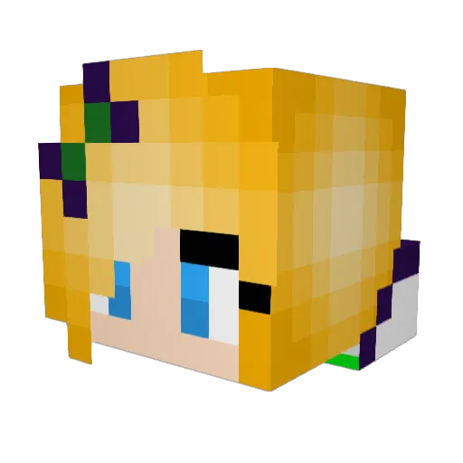 N3CROW Minecraft avatar head, 3D render