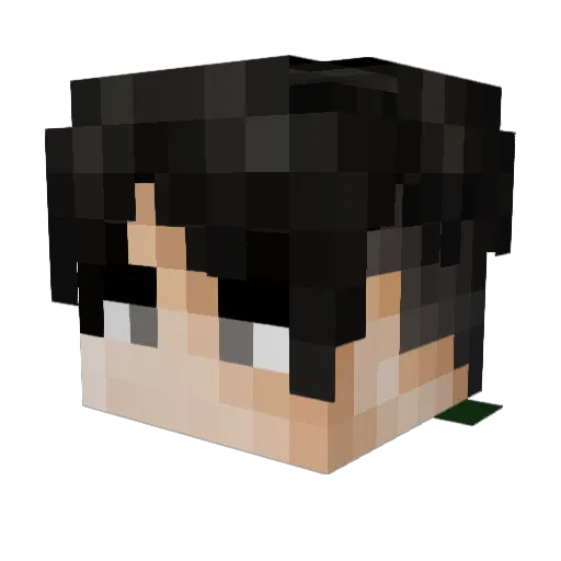 N3EL Minecraft avatar head, 3D render