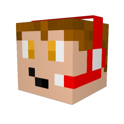 N3FFSBITCH Minecraft avatar head, 3D render