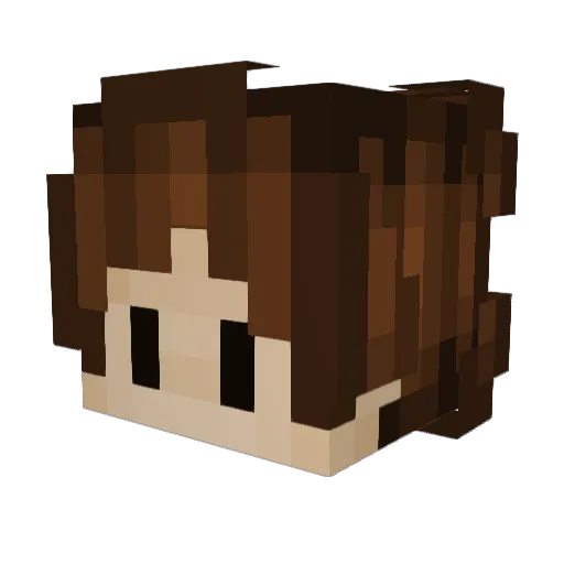 N3G4TIV3 Minecraft avatar head, 3D render