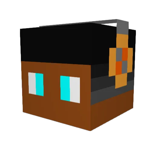 N3GuS Minecraft avatar head, 3D render