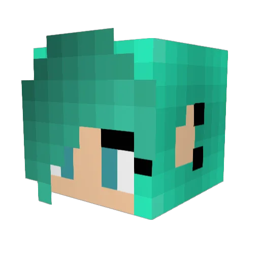 N3L0Idk Minecraft avatar head, 3D render
