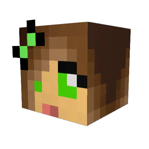 N3RDMASTER Minecraft avatar head, 3D render
