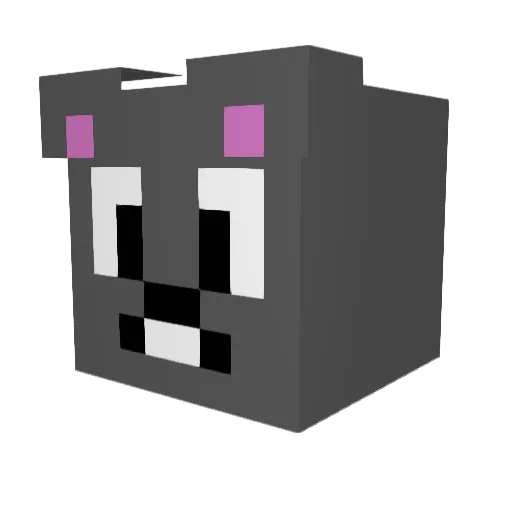 N3T0_Hunt3r Minecraft avatar head, 3D render
