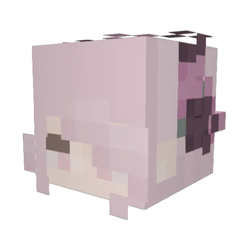 N3T13 Minecraft avatar head, 3D render