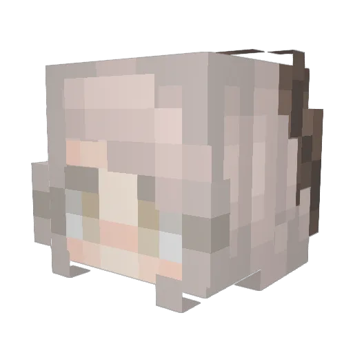 N3arby Minecraft avatar head, 3D render