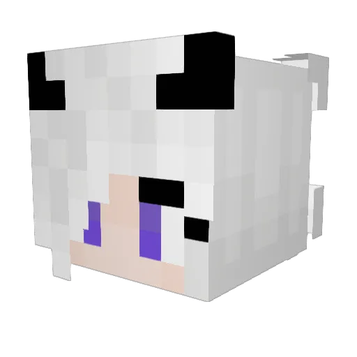 N3croVix Minecraft avatar head, 3D render