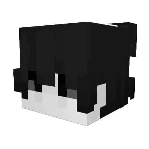 N3eer Minecraft avatar head, 3D render