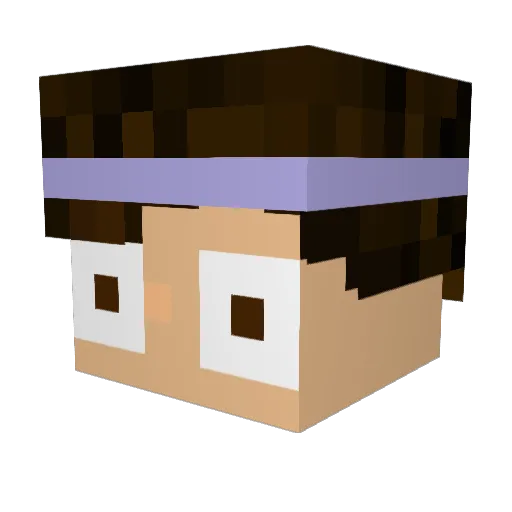 N3iiKo123 Minecraft avatar head, 3D render