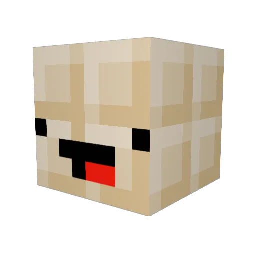 N3jtek Minecraft avatar head, 3D render