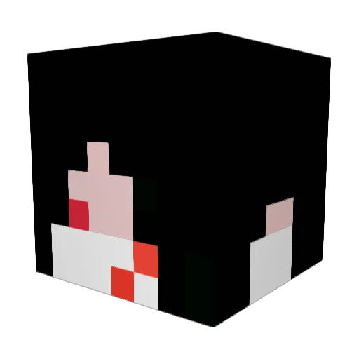 N3mesiS0924 Minecraft avatar head, 3D render