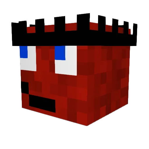 N3rdyN8 Minecraft avatar head, 3D render
