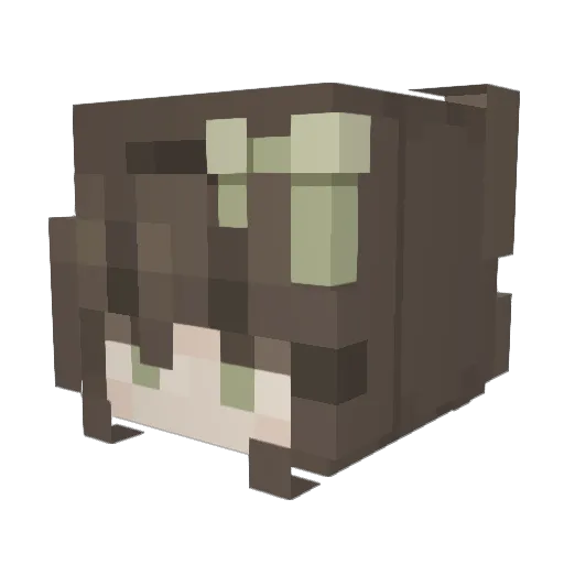 N3ss_8 Minecraft avatar head, 3D render