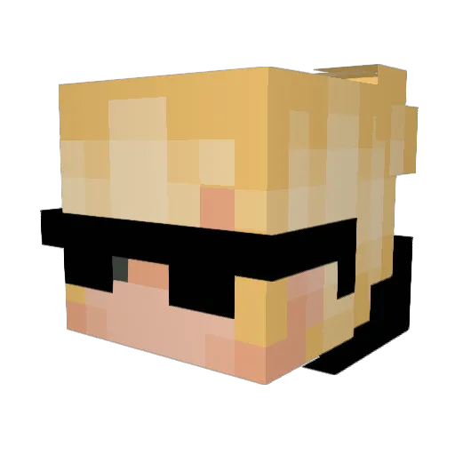 N3ts_ Minecraft avatar head, 3D render