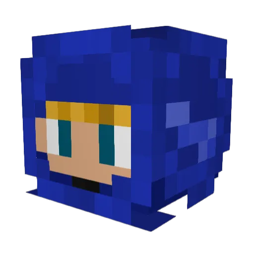 N3wf Minecraft avatar head, 3D render