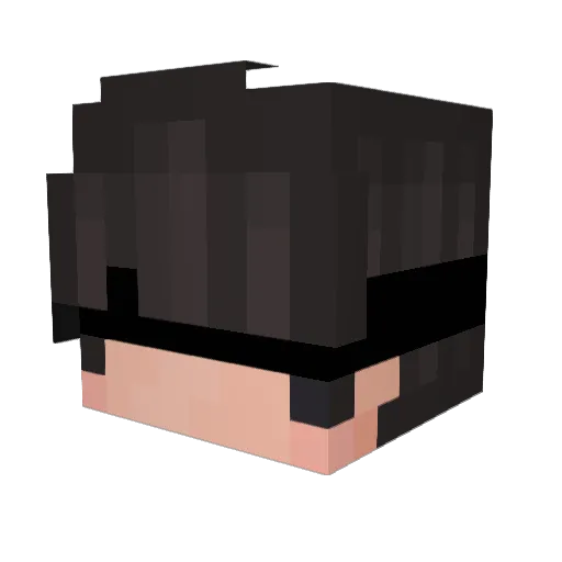 N3xZin Minecraft avatar head, 3D render