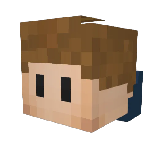N4Crafter Minecraft avatar head, 3D render