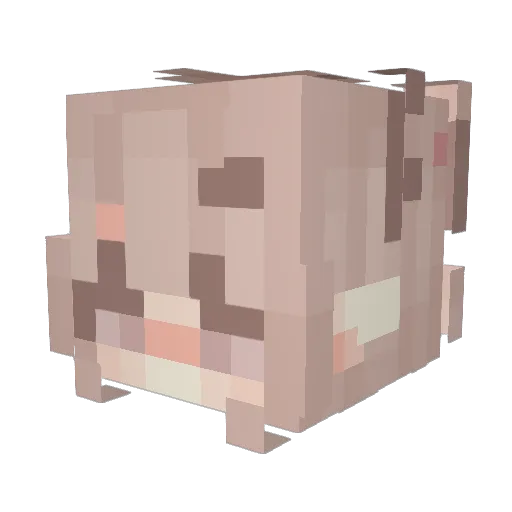 N4Mica Minecraft avatar head, 3D render