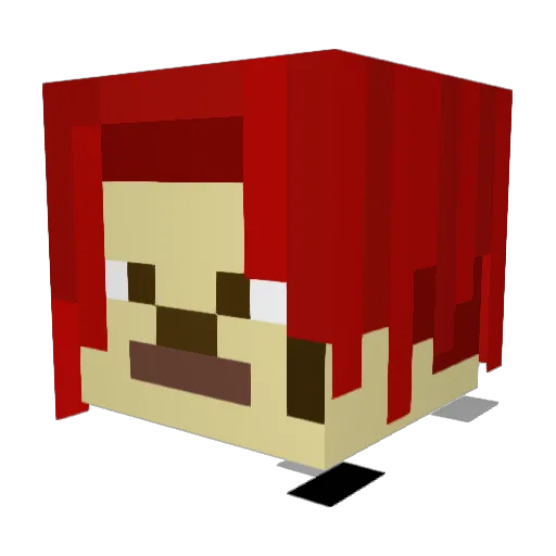 N4PK1NS Minecraft avatar head, 3D render
