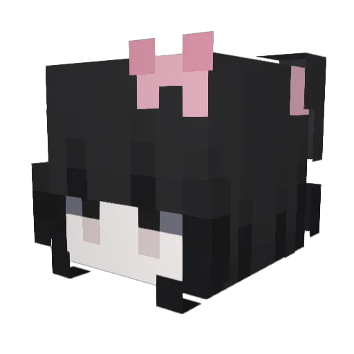 N4ROSE Minecraft avatar head, 3D render