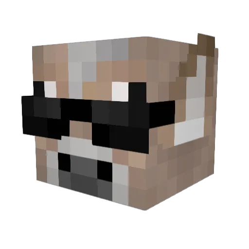 N4STYY_ Minecraft avatar head, 3D render
