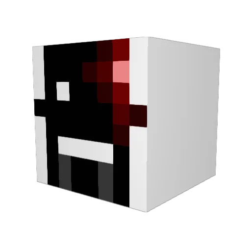 N4SUW1 Minecraft avatar head, 3D render