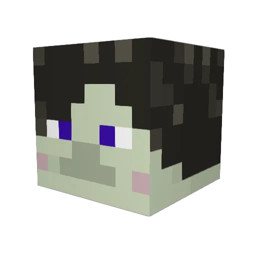 N4Tu000 Minecraft avatar head, 3D render