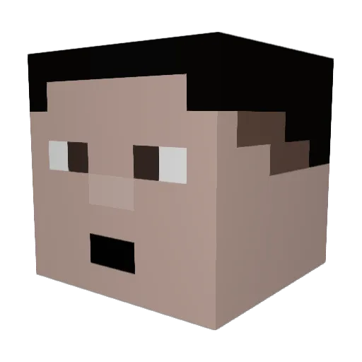 N4WINTER Minecraft avatar head, 3D render